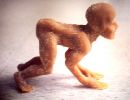digitaldog2